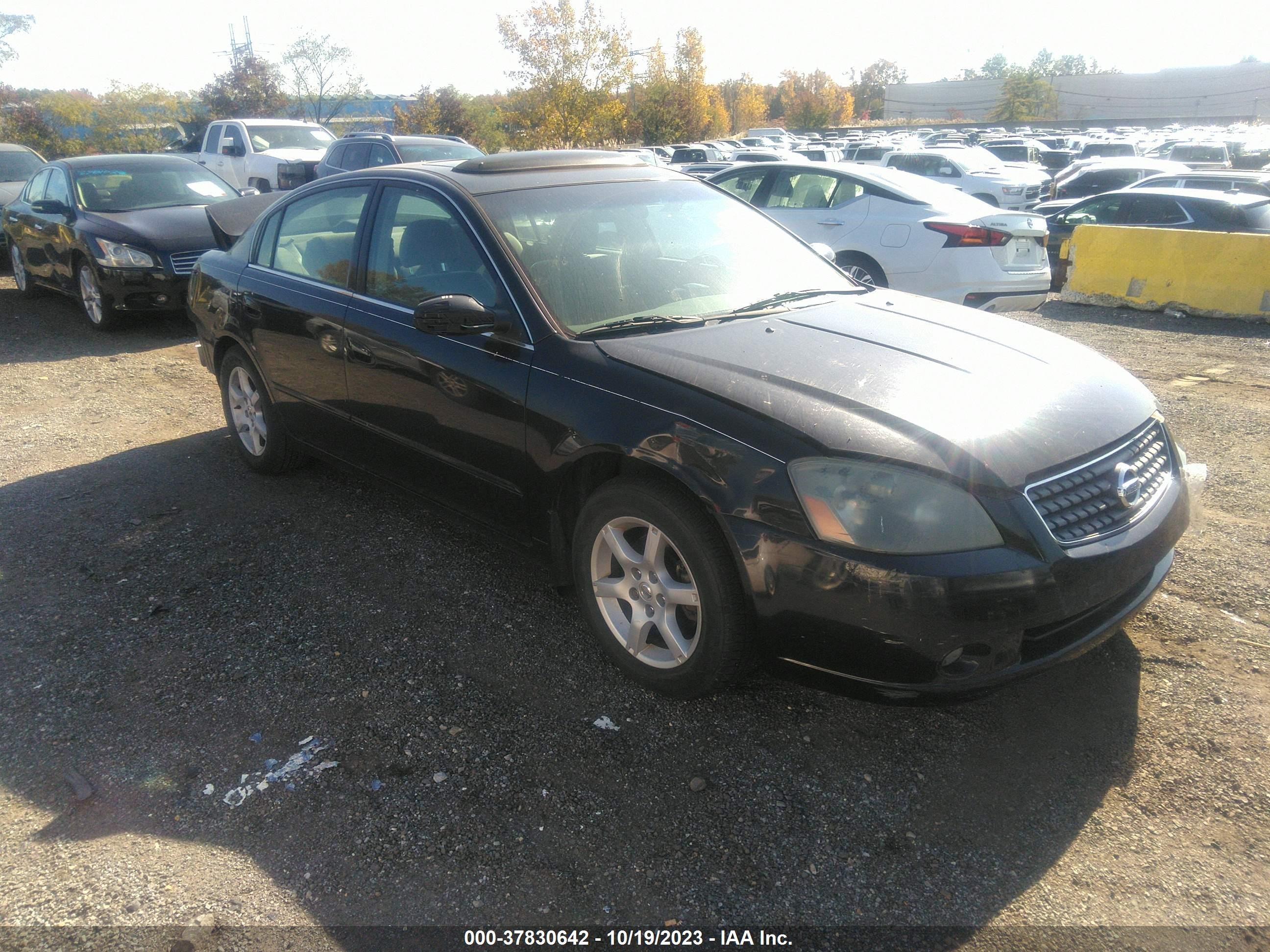 NISSAN ALTIMA 2005 1n4al11d45c137036