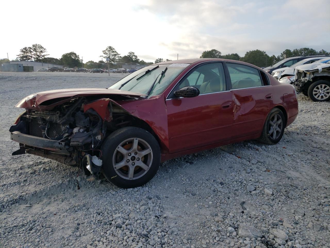 NISSAN ALTIMA 2005 1n4al11d45c386890