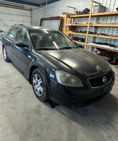 NISSAN ALTIMA 2006 1n4al11d46c236733