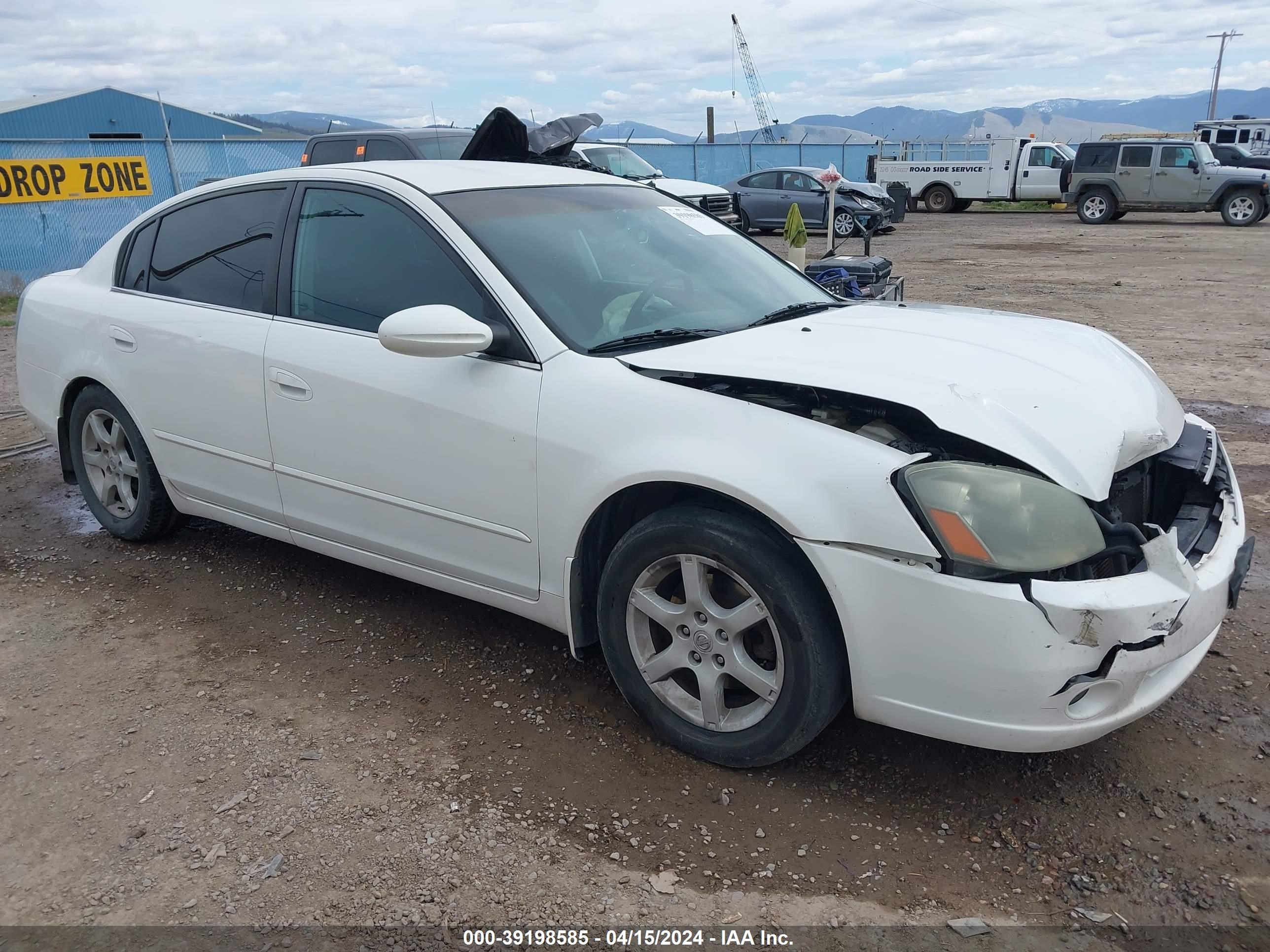 NISSAN ALTIMA 2006 1n4al11d46n342264