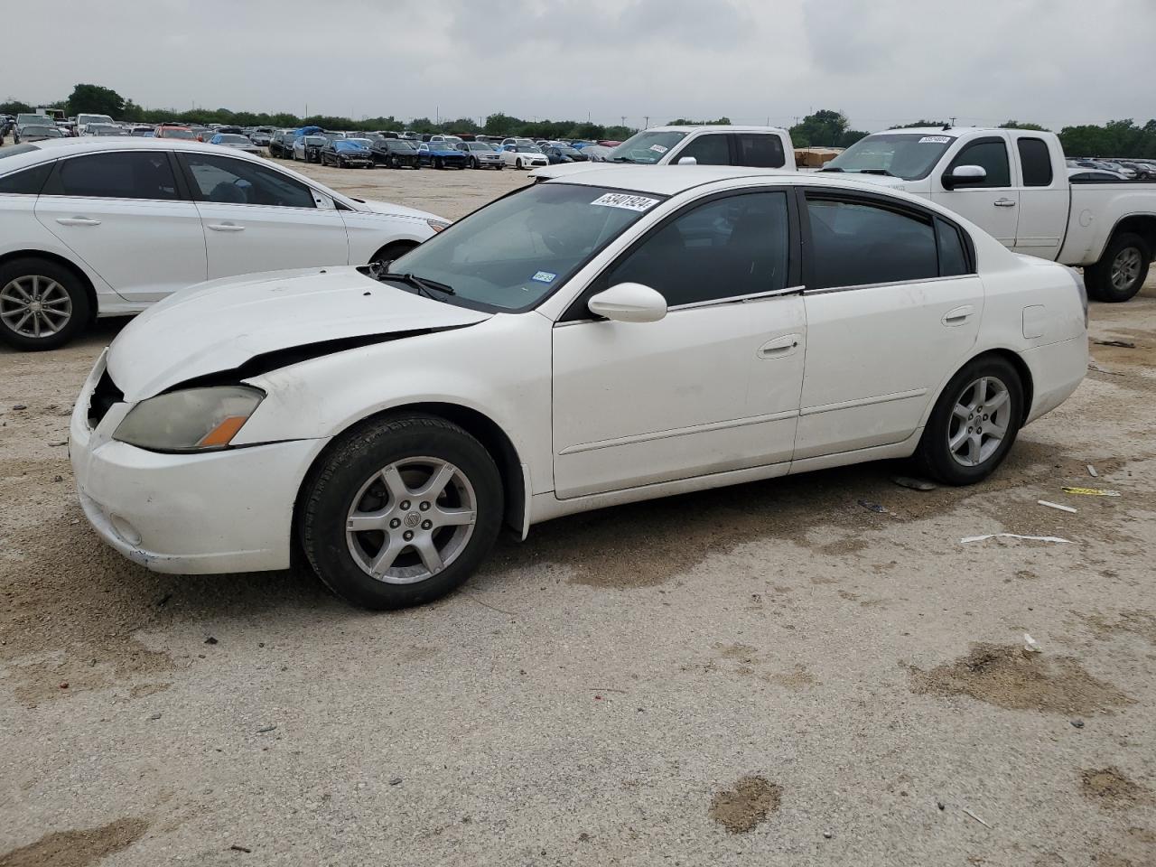 NISSAN ALTIMA 2006 1n4al11d46n395983