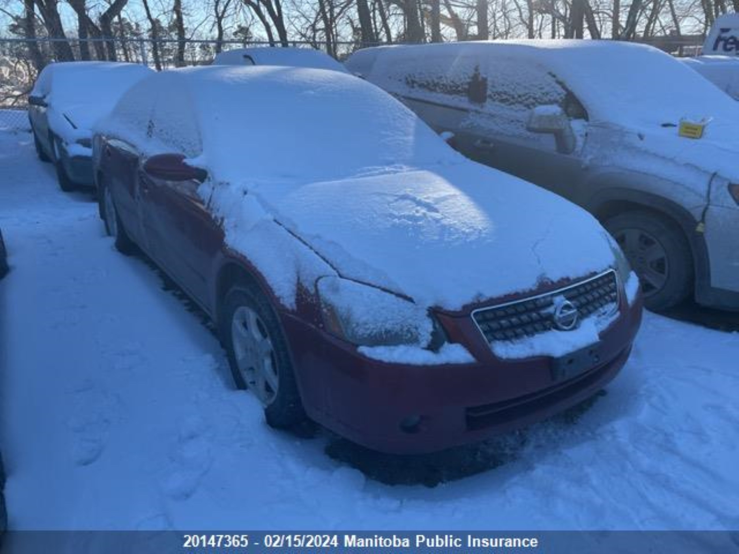 NISSAN ALTIMA 2005 1n4al11d55c204176