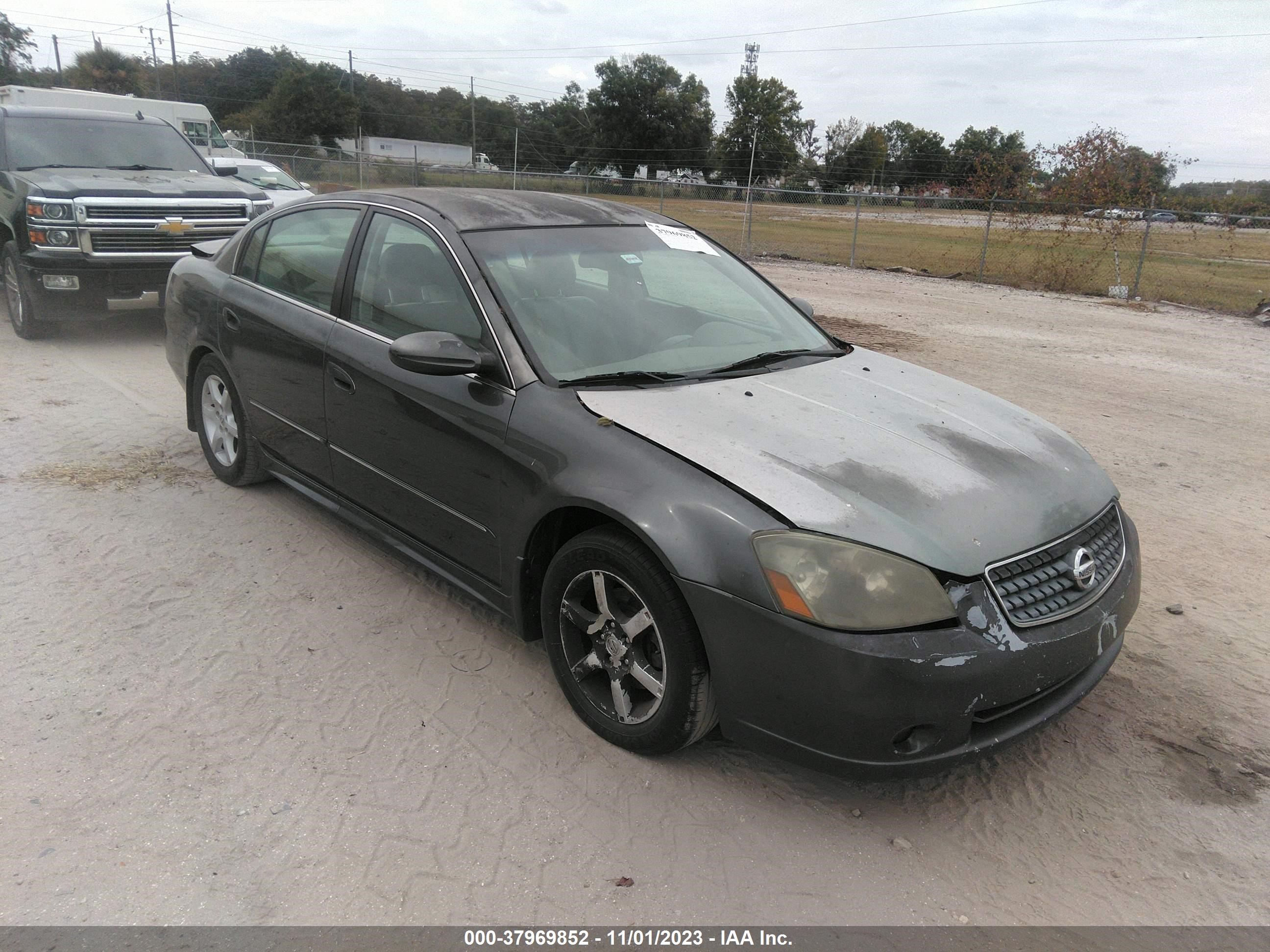 NISSAN ALTIMA 2005 1n4al11d55c238487