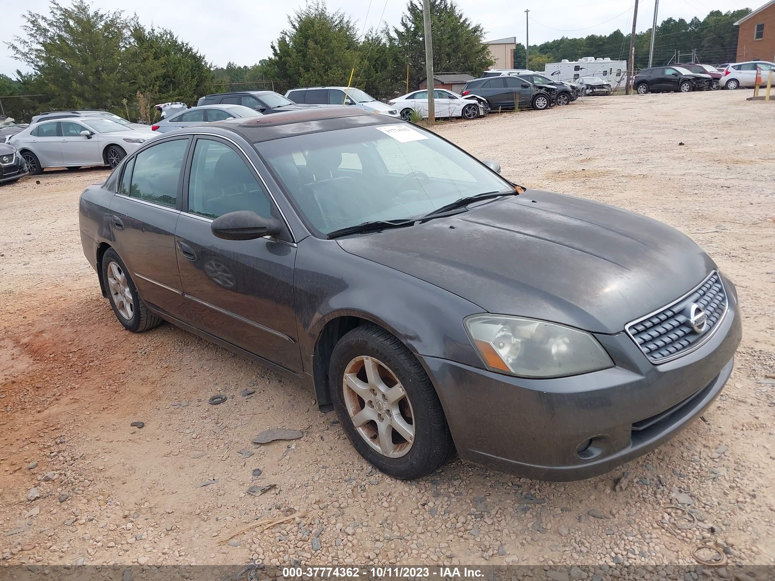 NISSAN ALTIMA 2005 1n4al11d55c295417