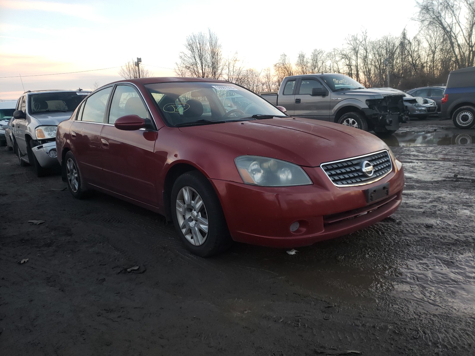 NISSAN ALTIMA 2005 1n4al11d55c366938