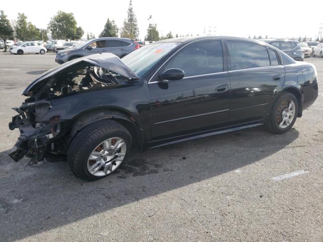 NISSAN ALTIMA 2005 1n4al11d55n930348