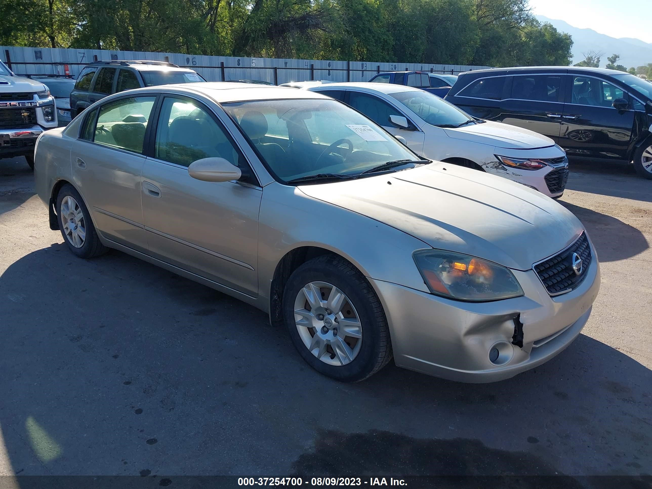 NISSAN ALTIMA 2006 1n4al11d56n320645