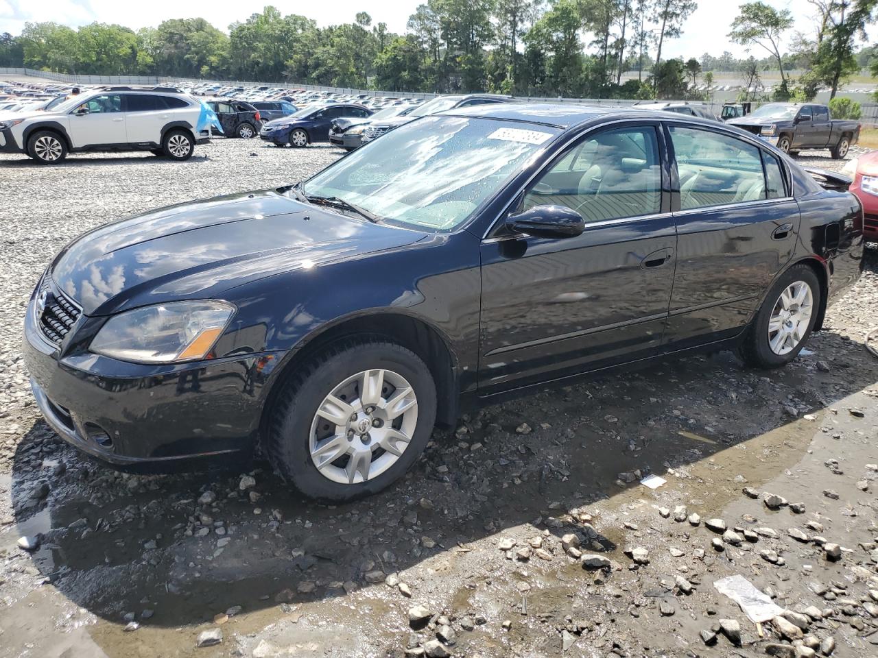 NISSAN ALTIMA 2005 1n4al11d65c102272