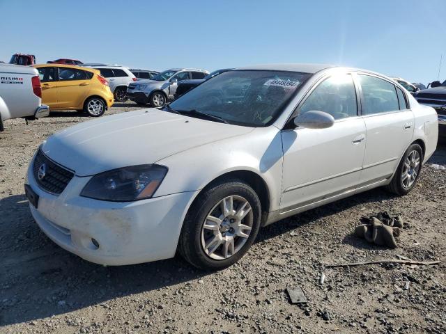 NISSAN ALTIMA 2005 1n4al11d65c132081