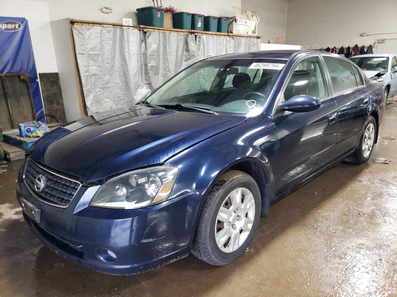 NISSAN ALTIMA 2005 1n4al11d65c232424