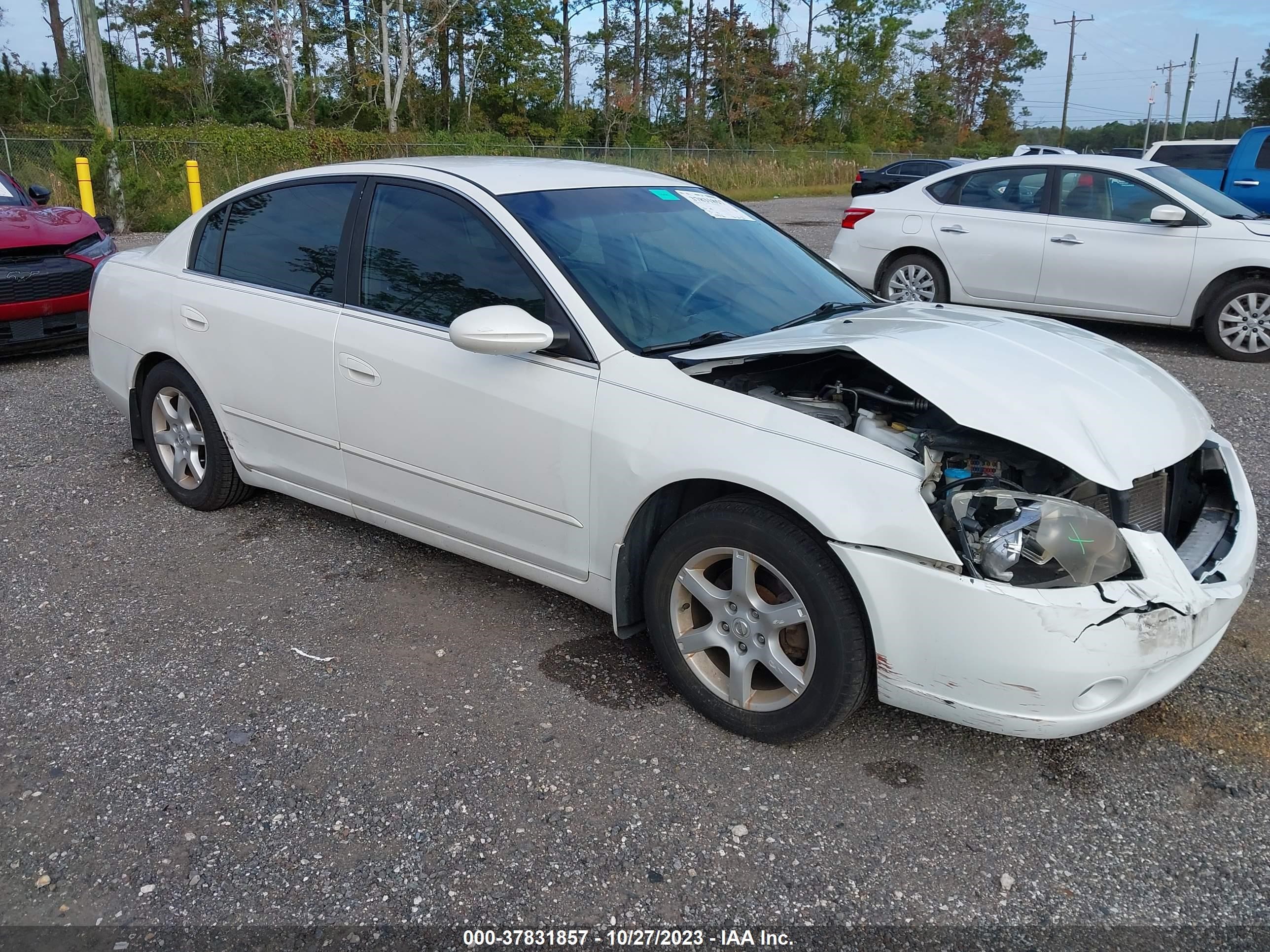 NISSAN ALTIMA 2006 1n4al11d66n456041