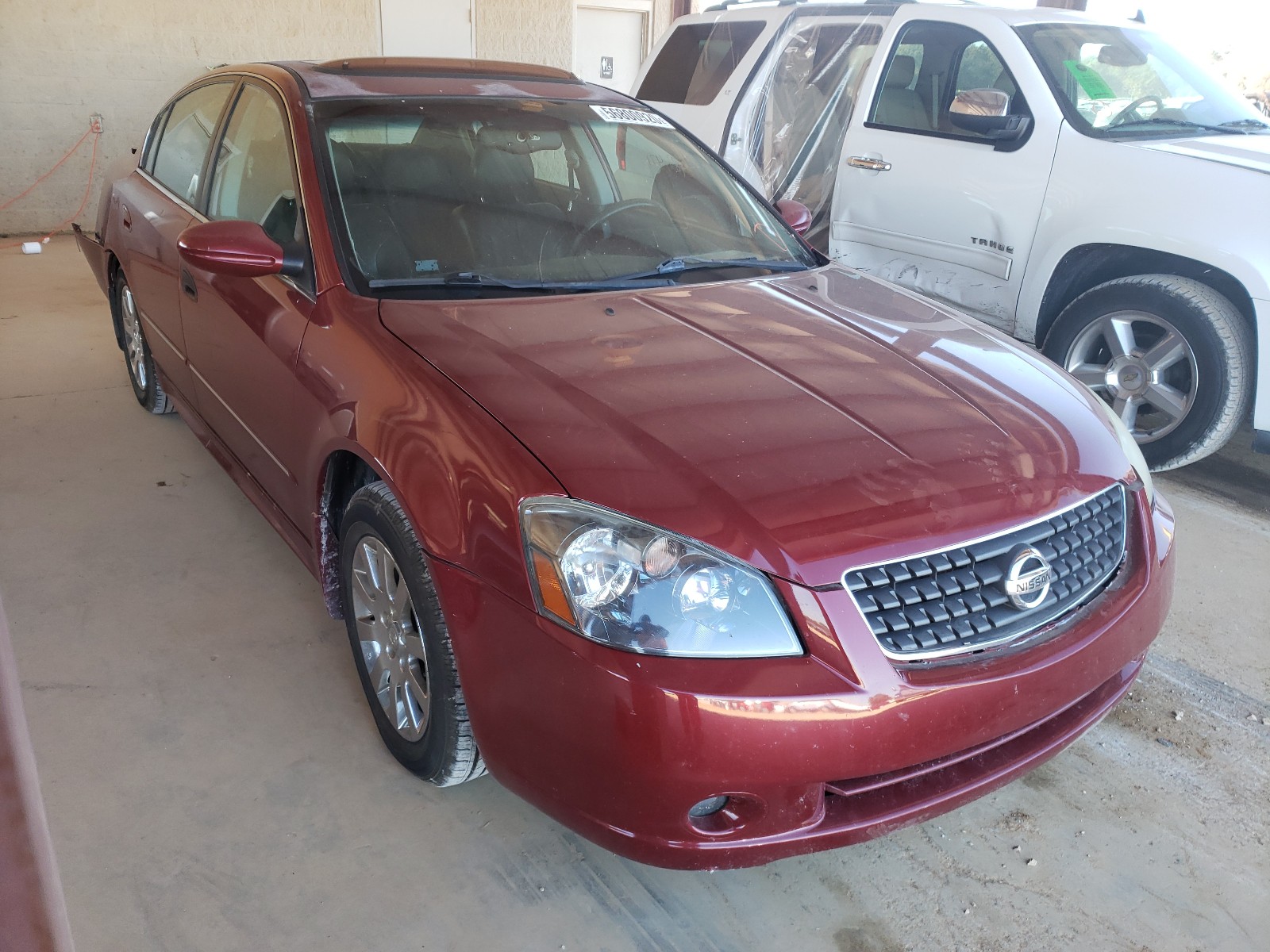 NISSAN ALTIMA S 2005 1n4al11d75c350093