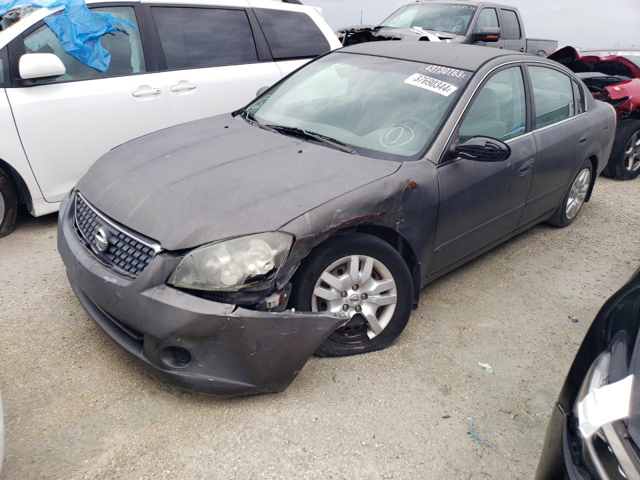 NISSAN ALTIMA 2006 1n4al11d76c266079