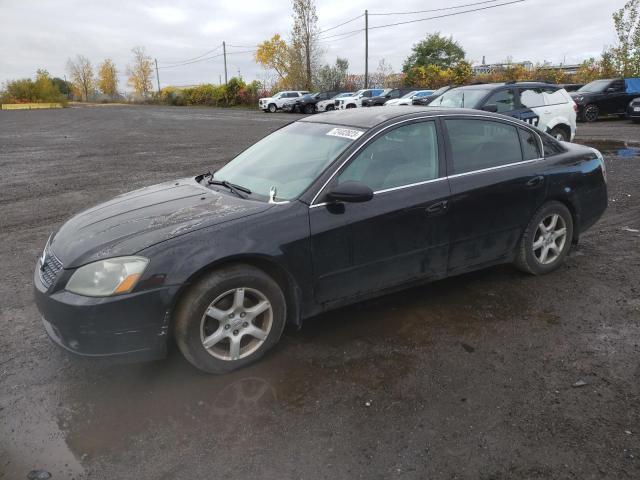 NISSAN ALTIMA 2005 1n4al11d85c244803