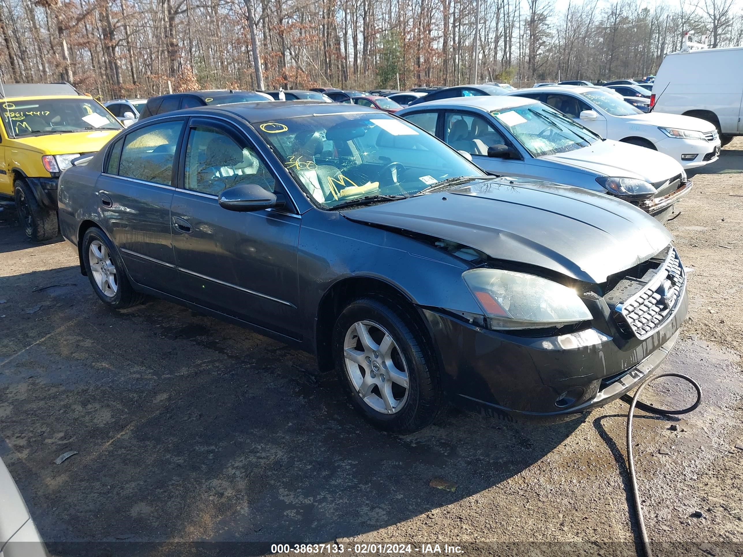 NISSAN ALTIMA 2005 1n4al11d95c230151