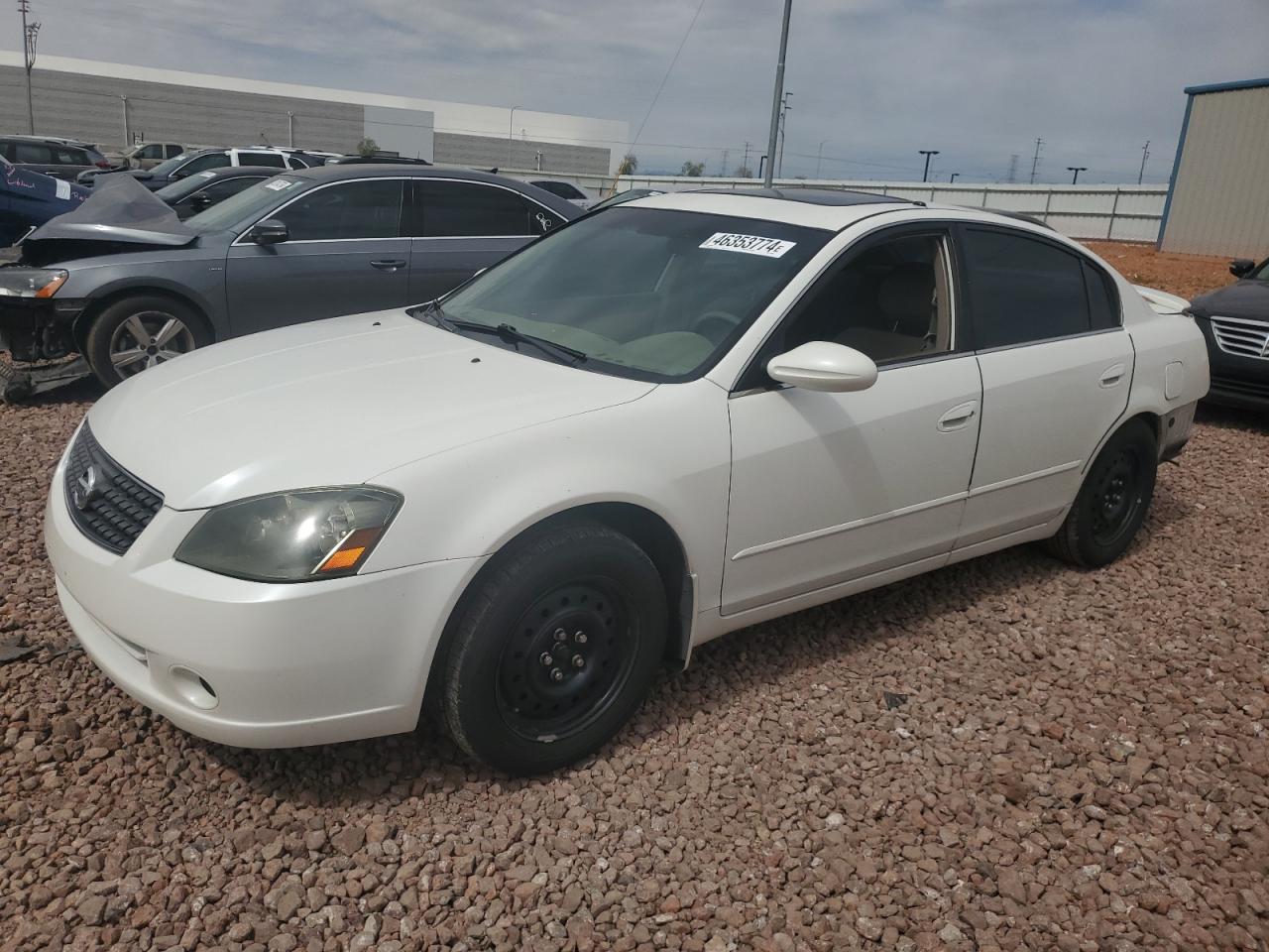 NISSAN ALTIMA 2006 1n4al11d96n342860