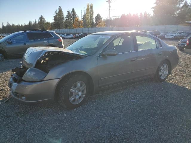 NISSAN ALTIMA S 2006 1n4al11d96n383862