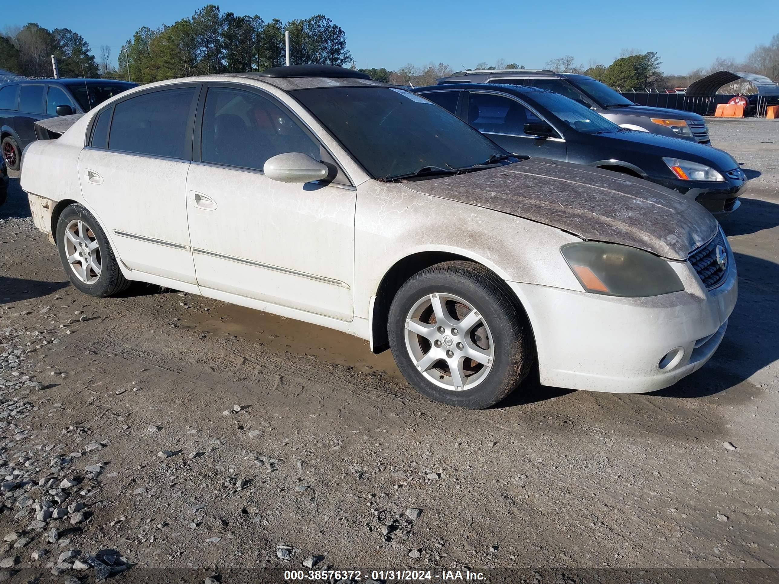 NISSAN ALTIMA 2005 1n4al11dx5c189724