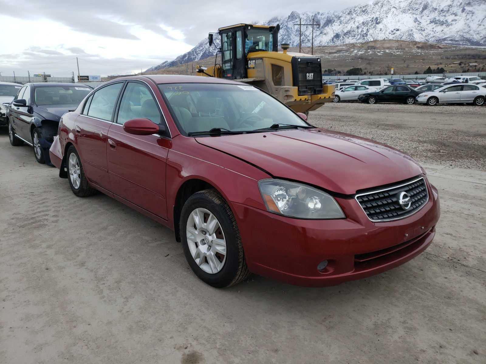 NISSAN ALTIMA 2005 1n4al11dx5c208269