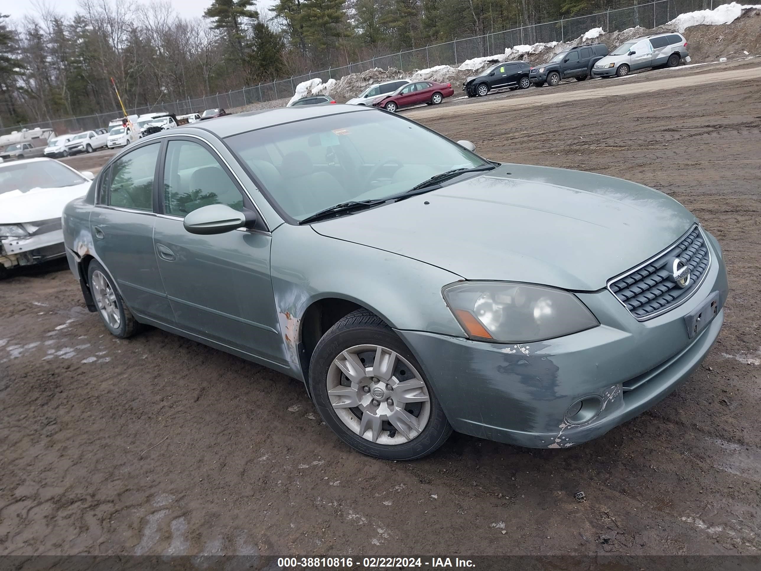 NISSAN ALTIMA 2005 1n4al11dx5c235231