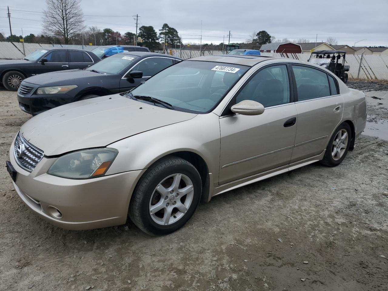 NISSAN ALTIMA 2005 1n4al11dx5c293730