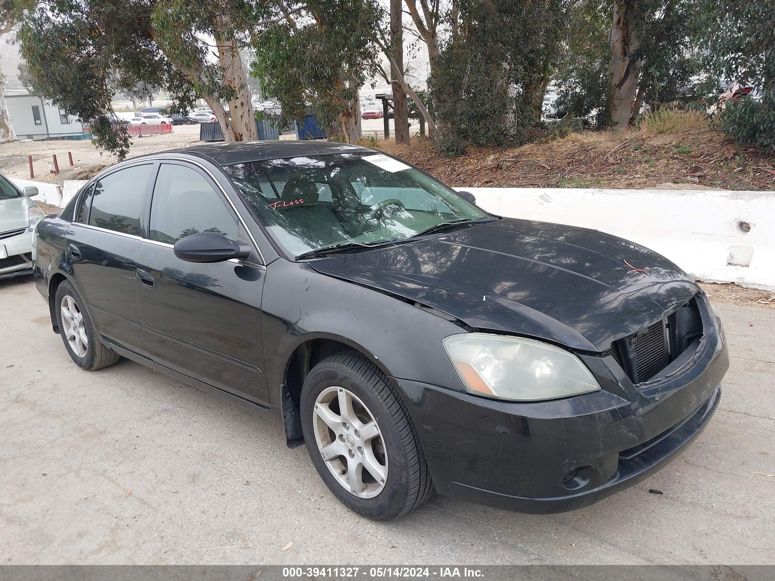 NISSAN ALTIMA 2006 1n4al11dx6c260020