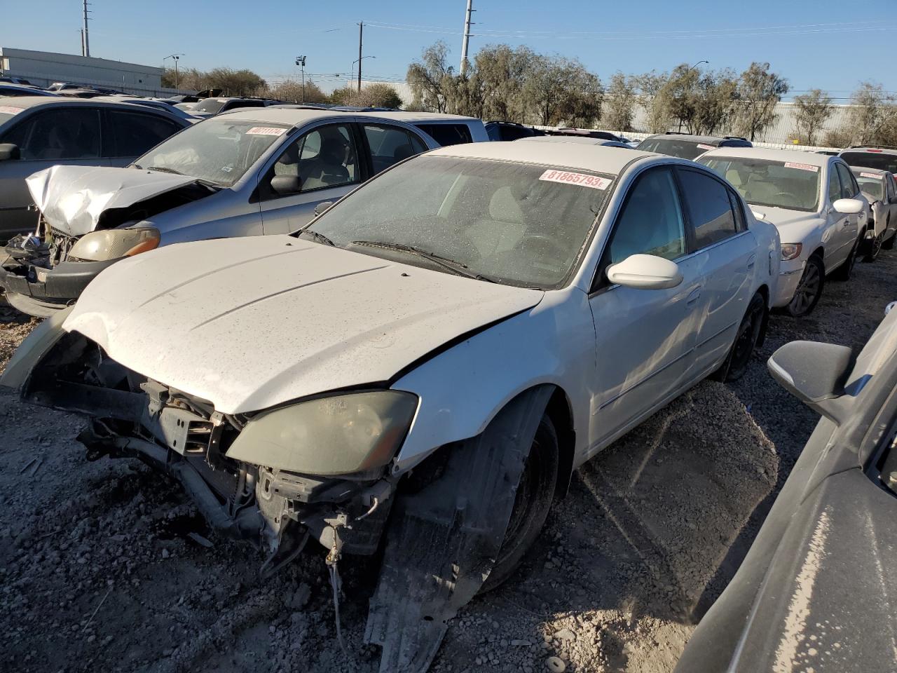 NISSAN ALTIMA 2006 1n4al11dx6n305512