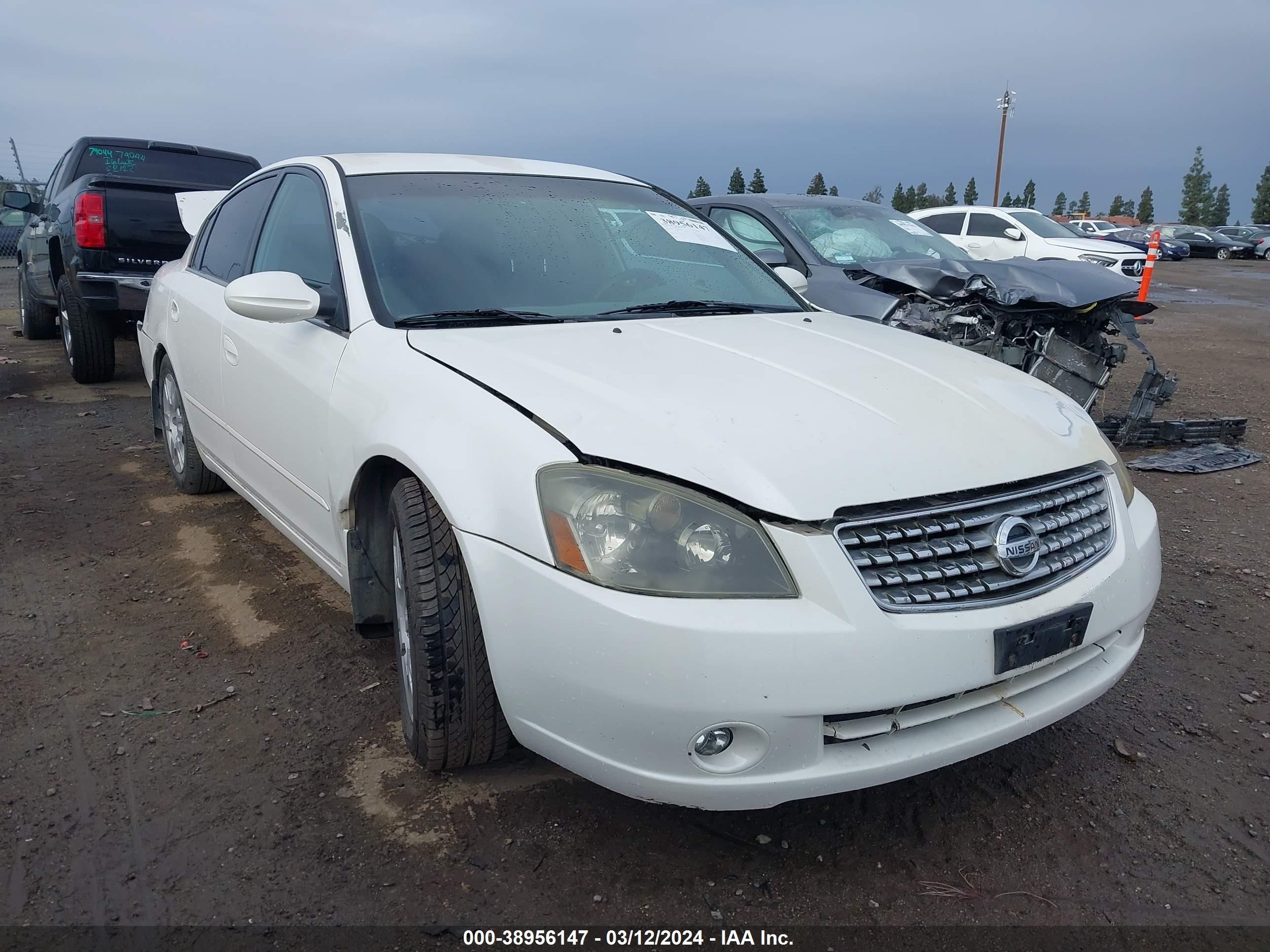 NISSAN ALTIMA 2005 1n4al11e45c306237