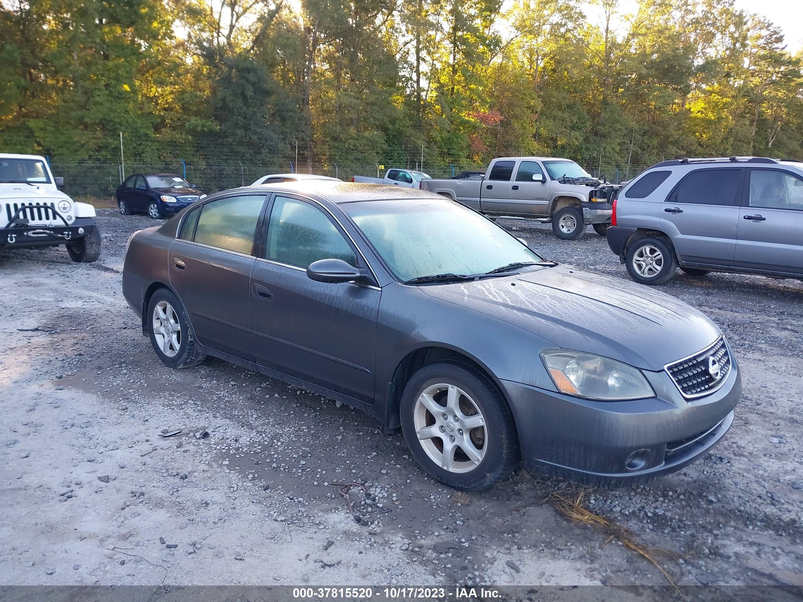 NISSAN ALTIMA 2006 1n4al11e56c191729