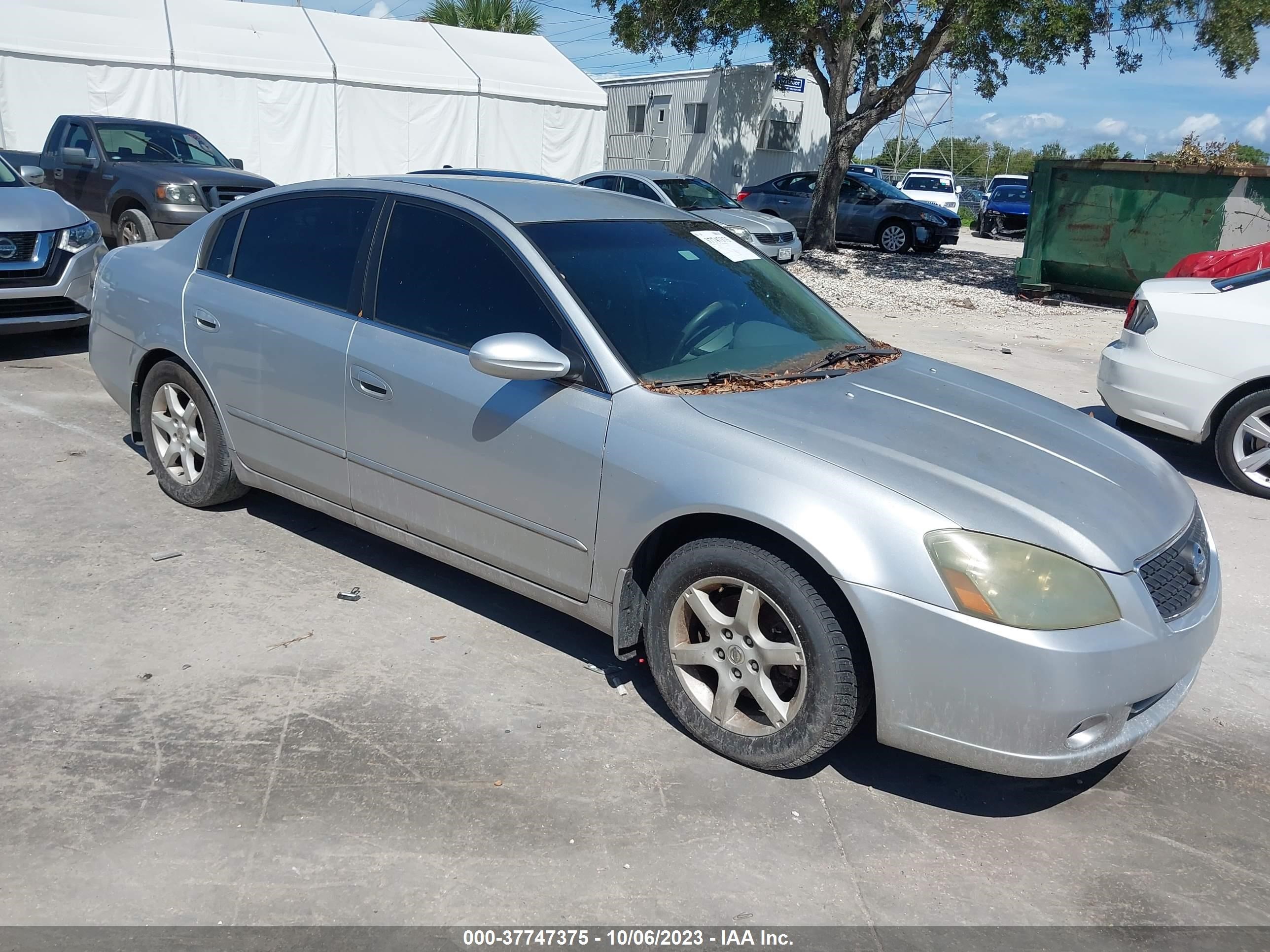 NISSAN ALTIMA 2006 1n4al11e76c247136