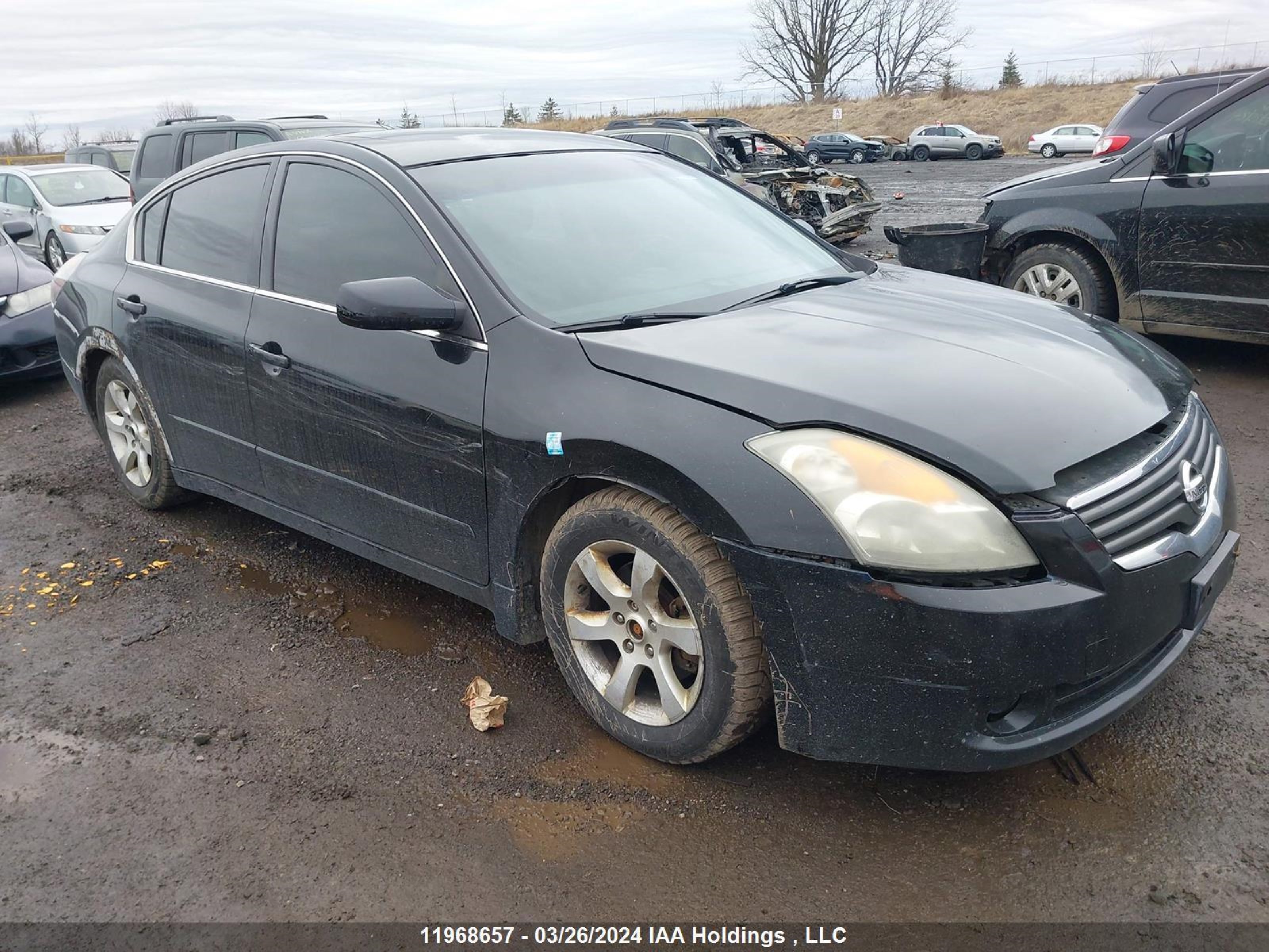 NISSAN ALTIMA 2009 1n4al21e59c124042