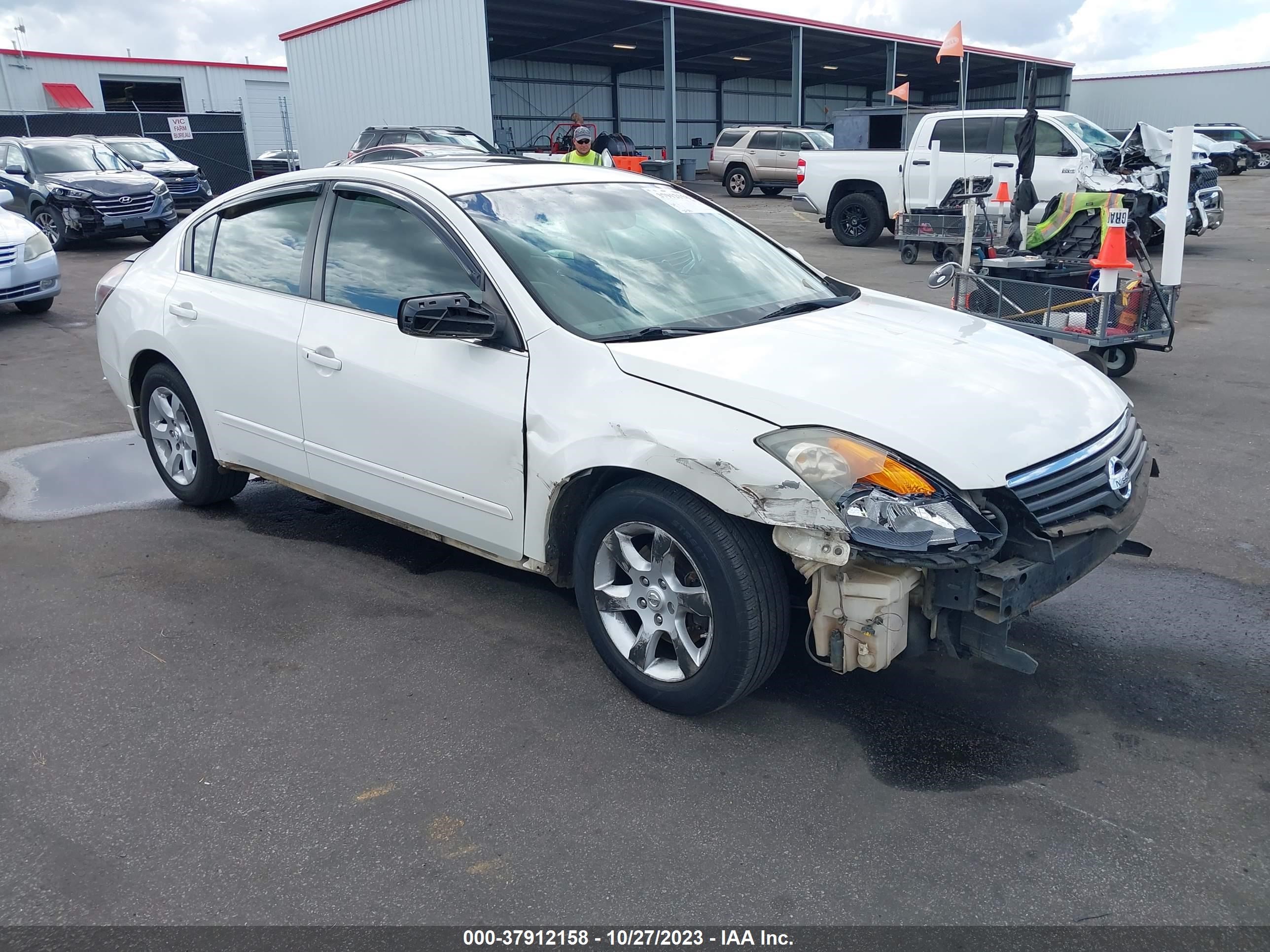 NISSAN ALTIMA 2009 1n4al21e59n523702