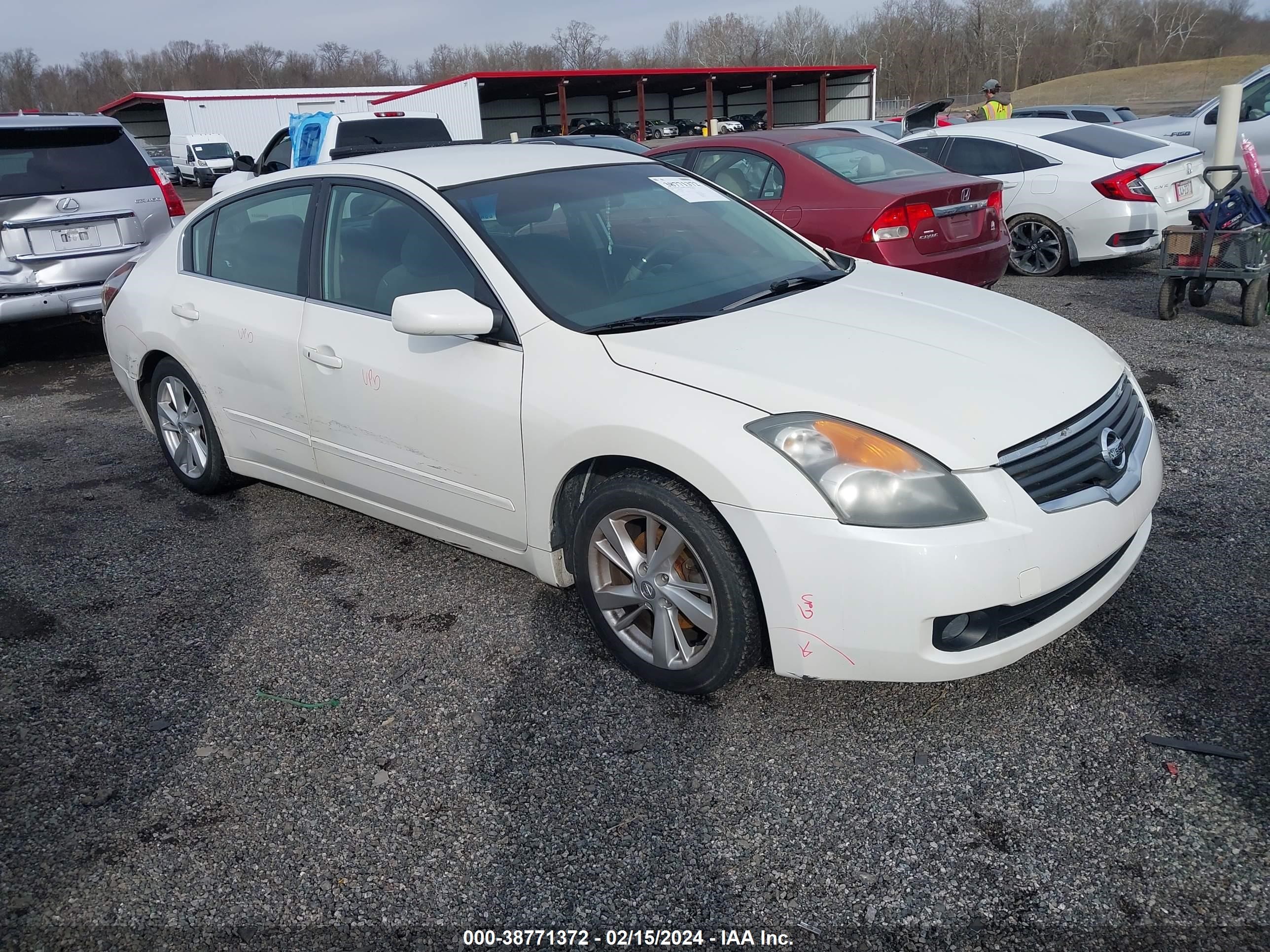 NISSAN ALTIMA 2009 1n4al21e59n550771