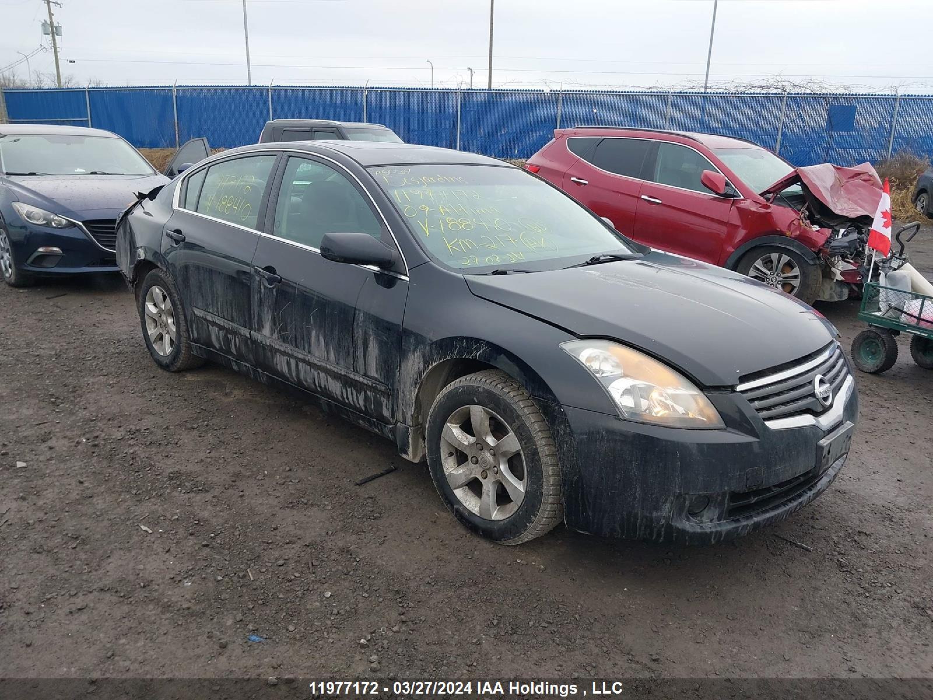 NISSAN ALTIMA 2009 1n4al21e99c188410