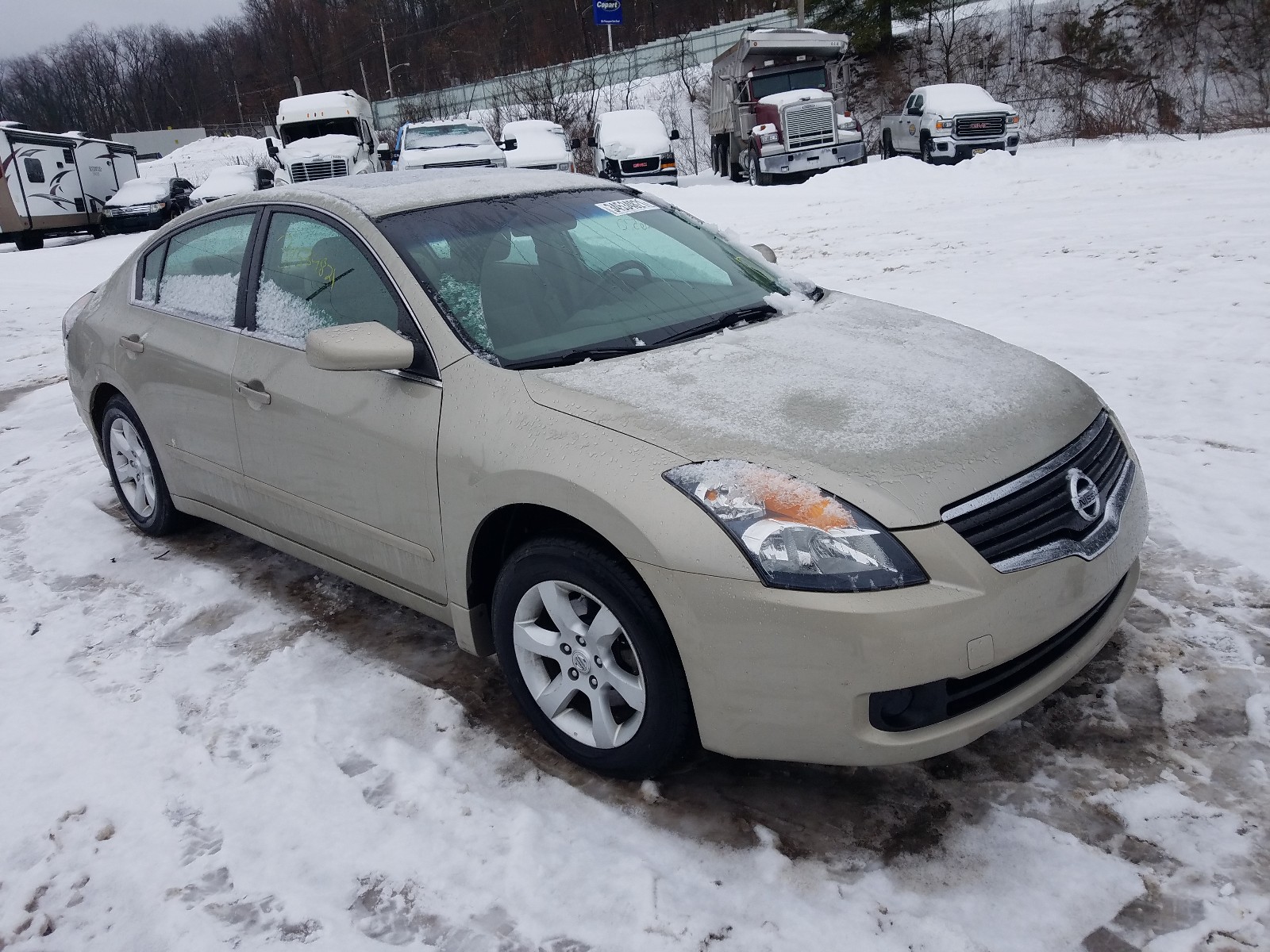 NISSAN ALTIMA 2.5 2009 1n4al21ex9n546117