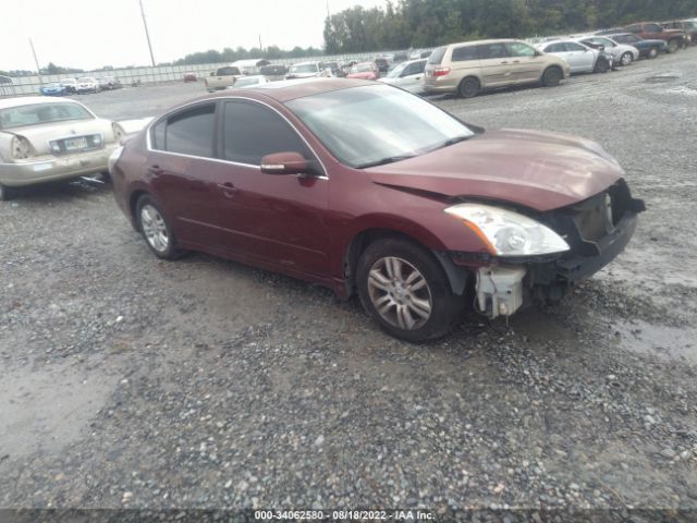 NISSAN ALTIMA 2010 1n4al2ap0an418491