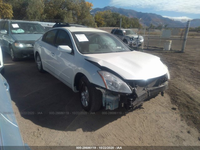 NISSAN ALTIMA 2010 1n4al2ap0an445240