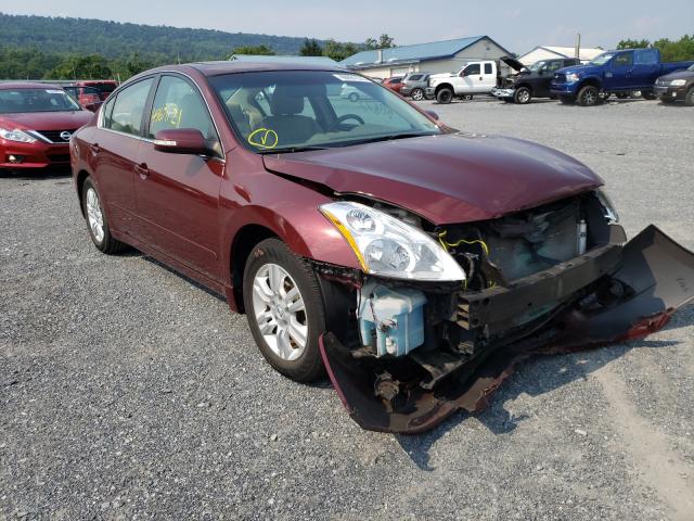 NISSAN ALTIMA BAS 2010 1n4al2ap0an529932