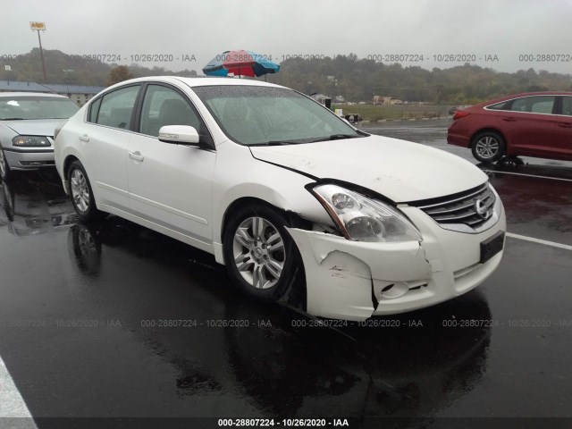 NISSAN ALTIMA 2010 1n4al2ap1an455484