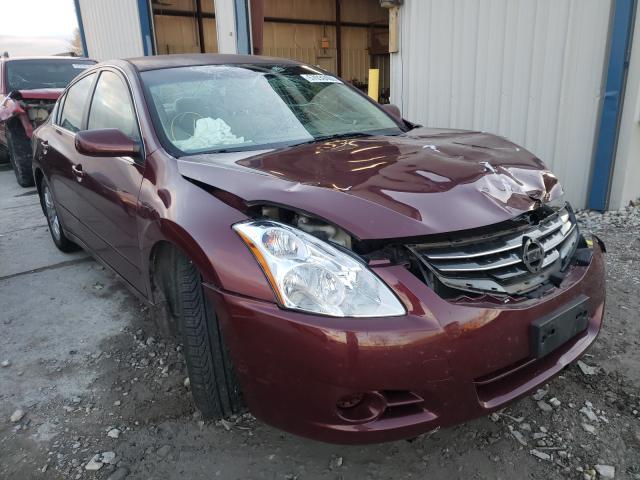 NISSAN ALTIMA BAS 2010 1n4al2ap1an462497