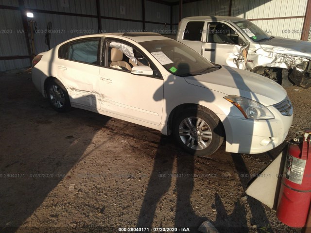 NISSAN ALTIMA 2010 1n4al2ap1an517384