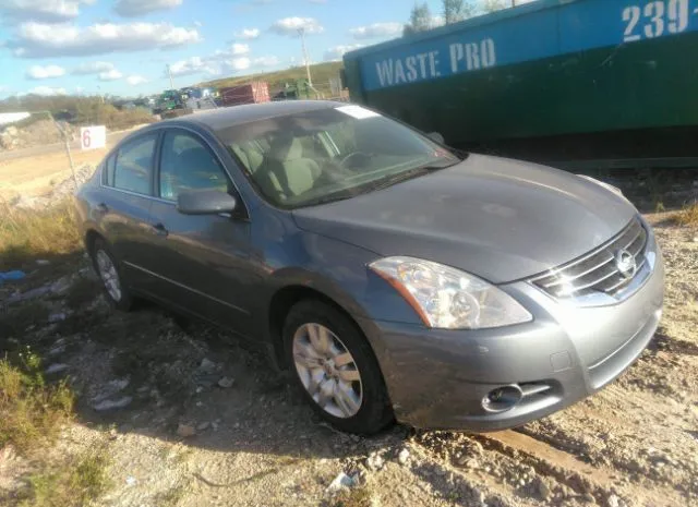 NISSAN ALTIMA 2010 1n4al2ap1an564866