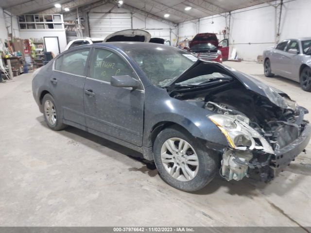 NISSAN ALTIMA 2010 1n4al2ap1an566802