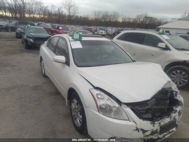 NISSAN ALTIMA 2010 1n4al2ap2an455476