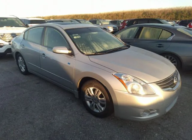 NISSAN ALTIMA 2010 1n4al2ap2an468101