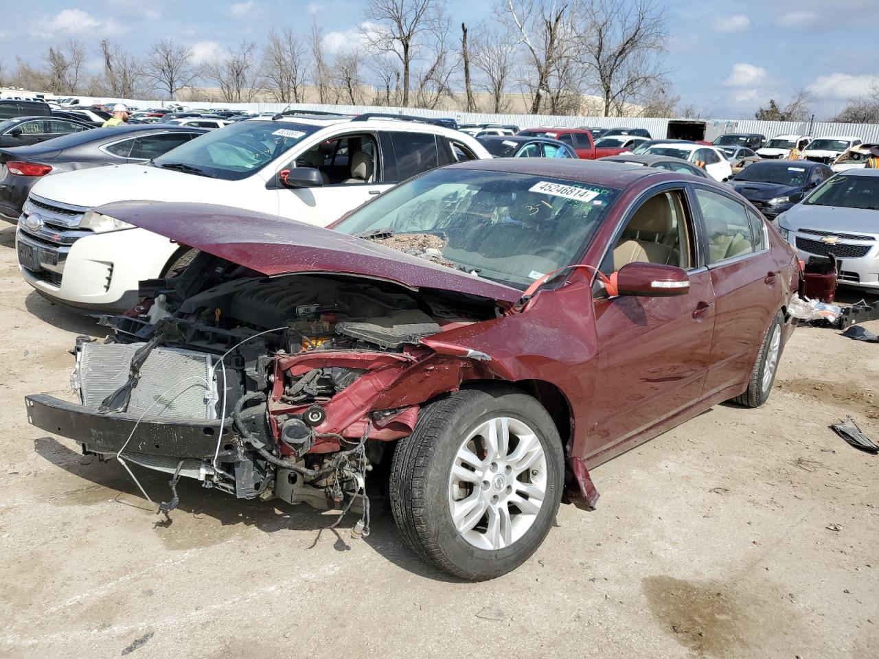 NISSAN ALTIMA 2010 1n4al2ap2an495329