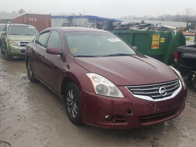 NISSAN ALTIMA BAS 2011 1n4al2ap2bn461067