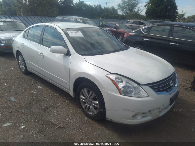 NISSAN ALTIMA 2010 1n4al2ap3an556249