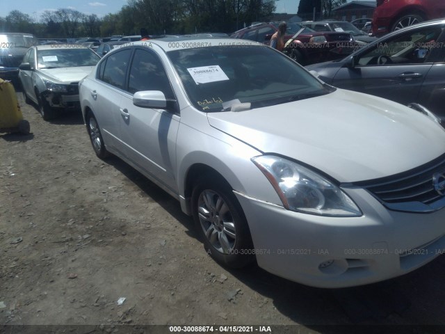 NISSAN ALTIMA 2010 1n4al2ap4ac183363