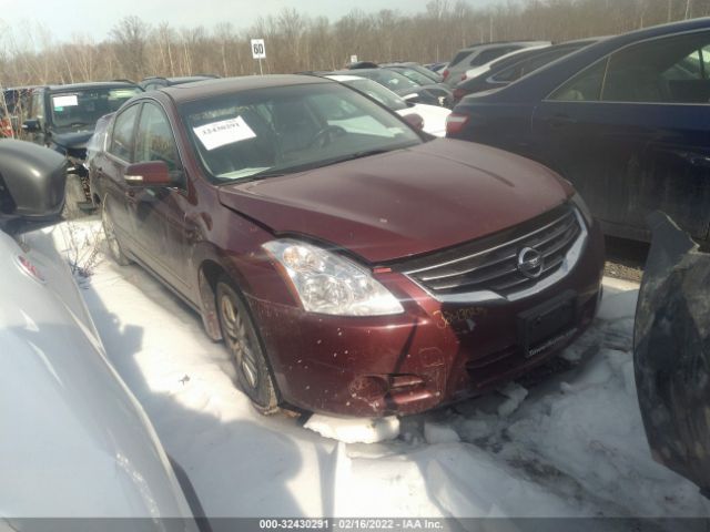 NISSAN ALTIMA 2010 1n4al2ap4an494621